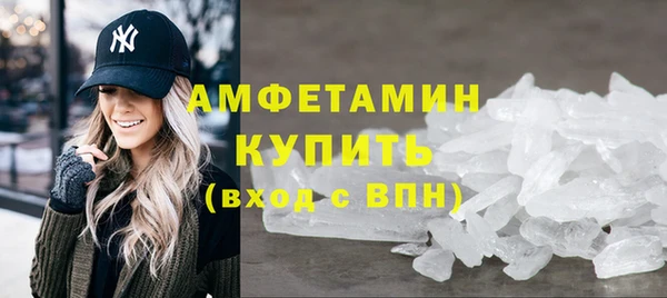 мдпв Вяземский