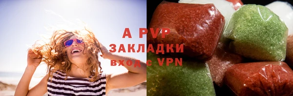 мдпв Вяземский