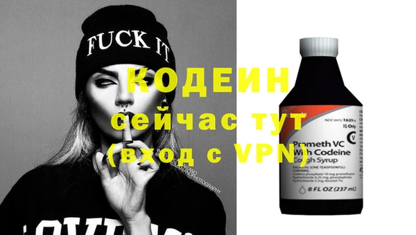 мдпв Вяземский