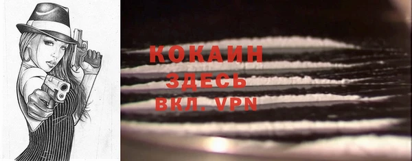 мдпв Вяземский