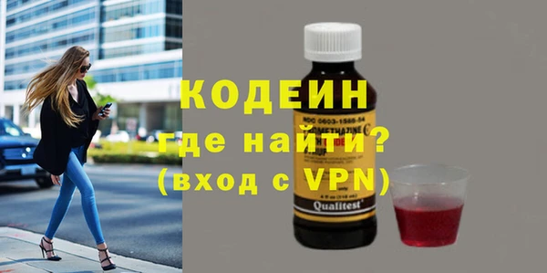 мдпв Вяземский