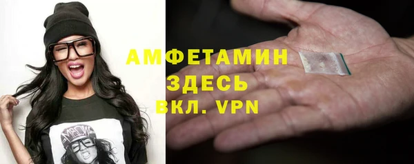 мдпв Вяземский