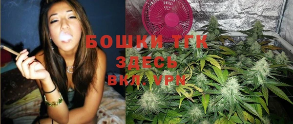 мдпв Вяземский