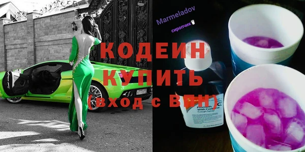 мдпв Вяземский