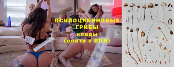 мдпв Вяземский