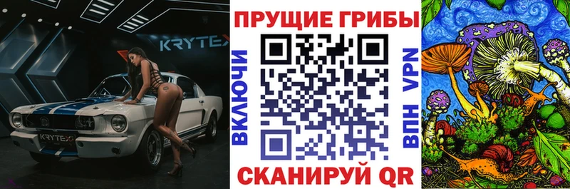 Псилоцибиновые грибы прущие грибы Печоры